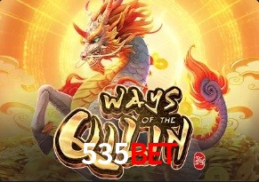  535Bet